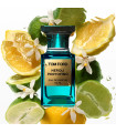 Neroli Portofino Edp 100ml