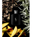 Polo Black Edt 125ml